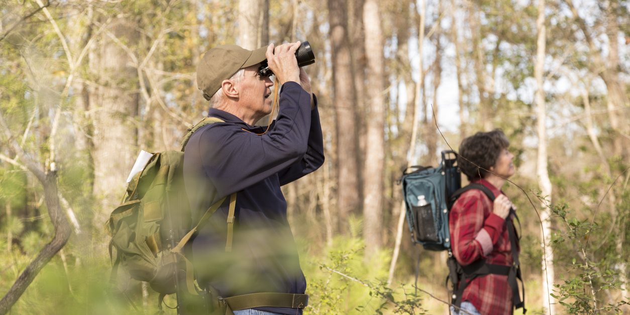 Active senior adult couple hiking through a wooded forest area.  They wear backpacks and use binoculars to watch birds as they enjoy nature.